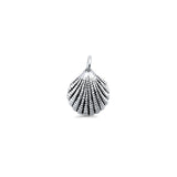 Seashell Pendant Necklace