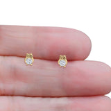 Owl Stud Earrings