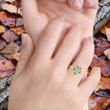 Turtle Ring