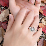 Spider Web Ring