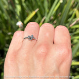 Oxidized Mushroom Rings