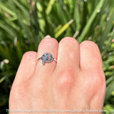 Celtic Raven Crescent Moon Rings