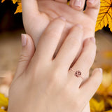 Saturn Planet Moon Star Ring