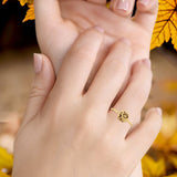 Saturn Planet Moon Star Ring